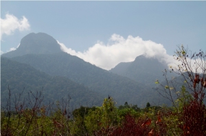 Gunung Bawang dengan ketinggian 1.468 m dpl berada di Kabupaten Bengkayang.
